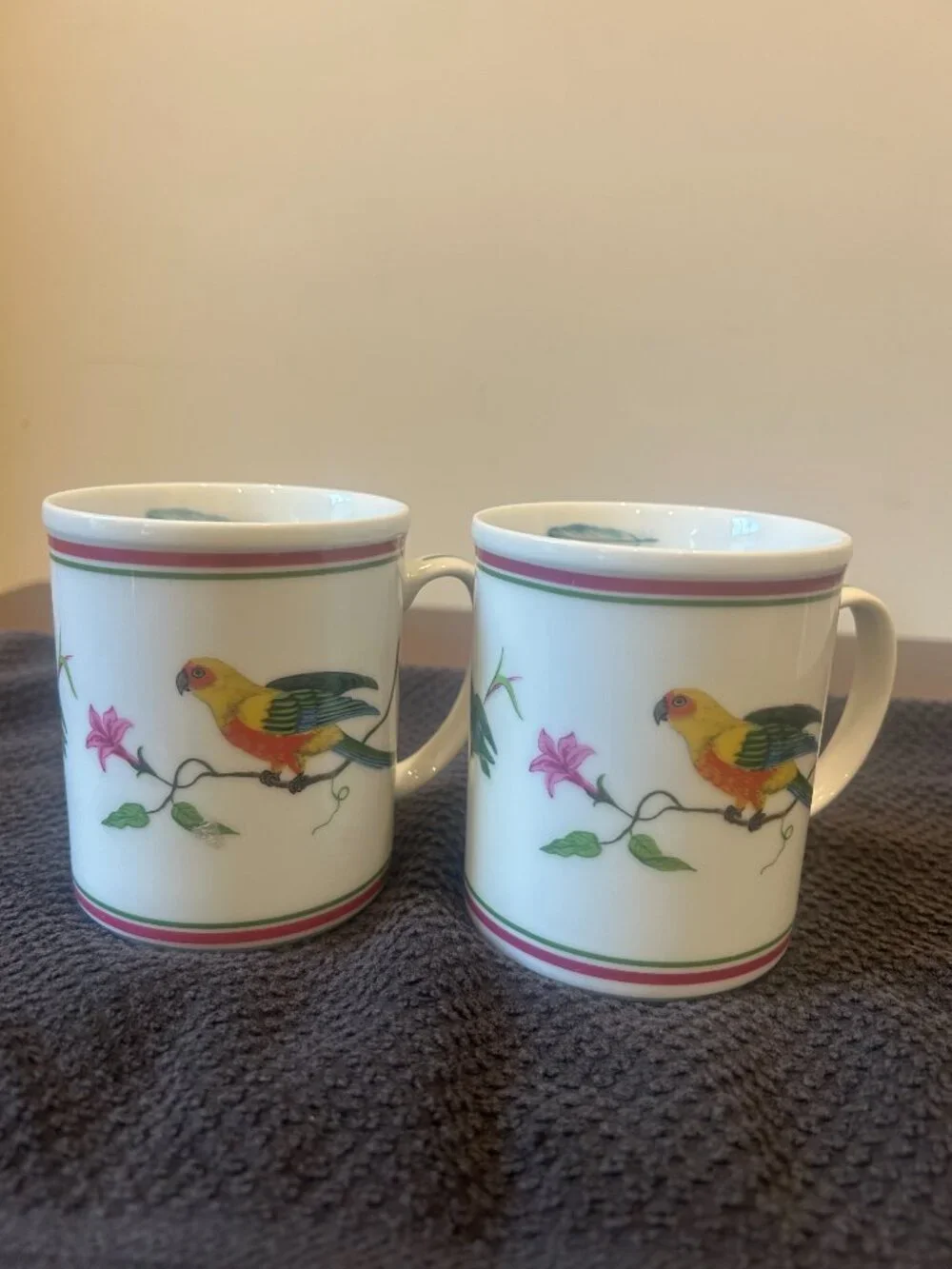 1989 Lynn Chase Parrots Of Paradise Set of Two Coffee Mugs VERY GOOD CONDITION!
